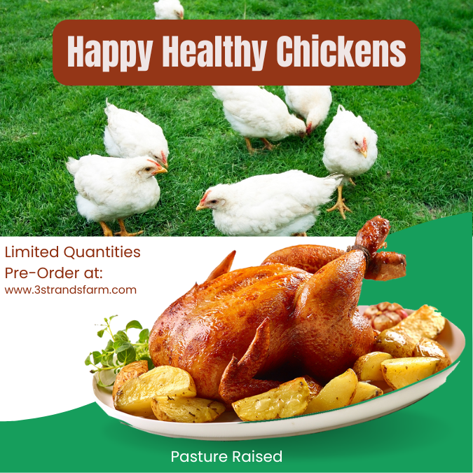 Happy Healthy Chicken Deposit